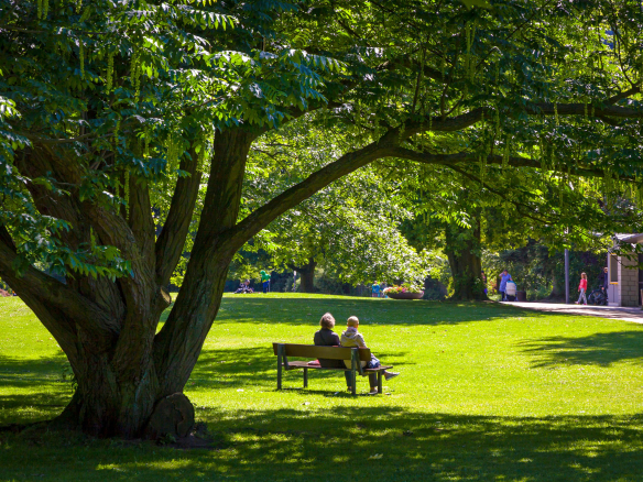 Zwei Menschen auf einer Bank unter einem Baum im Park