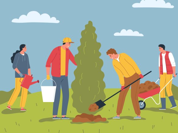 Eine Gruppe pflanzt einen Baum